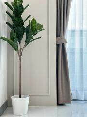 Potted plant next to a curtain-covered window