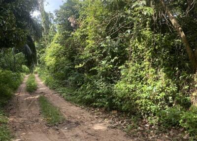 5 Rai of Premium Freehold Land for Sale in Taling Ngam Ko Samui