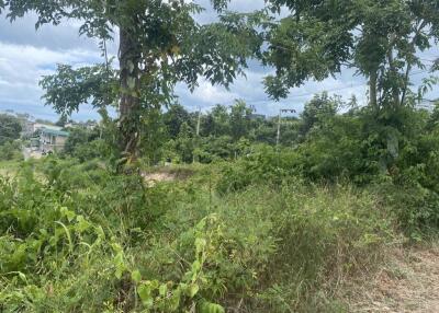 20 Rai Prime Freehold Land for Sale in Plai Laem