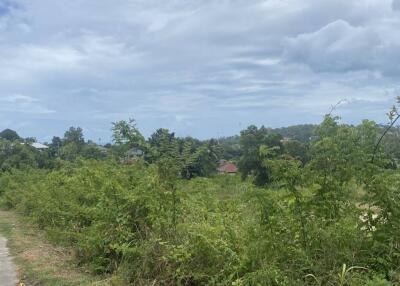 20 Rai Prime Freehold Land for Sale in Plai Laem