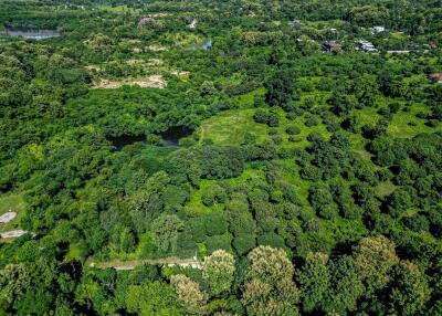 Rare Residential Development Land : Nam Phrae