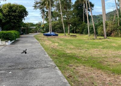 Outdoor area with driveway and palm trees