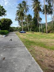 Outdoor area with driveway and palm trees