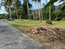 Spacious garden area with tall palm trees