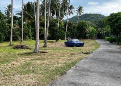 View of outdoor area with palm trees and parked car