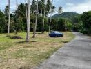 View of outdoor area with palm trees and parked car