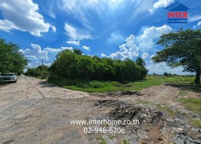 A sunny day view of an empty land plot with a few trees and a partially paved road.