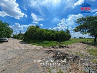 A sunny day view of an empty land plot with a few trees and a partially paved road.