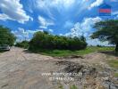 A sunny day view of an empty land plot with a few trees and a partially paved road.