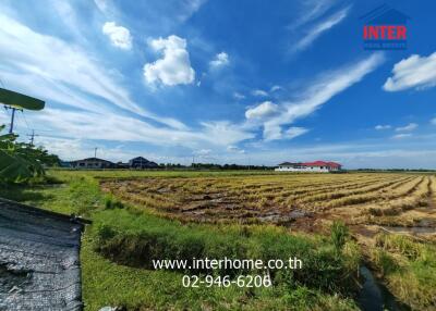 Vast open farmland under a bright blue sky with scattered clouds