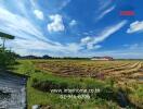 Vast open farmland under a bright blue sky with scattered clouds