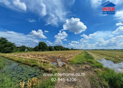 Spacious field with clear sky and greenery