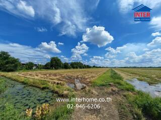 Spacious field with clear sky and greenery