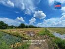 Spacious field with clear sky and greenery