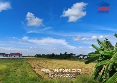 Real estate land view with clear blue sky