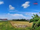 Real estate land view with clear blue sky