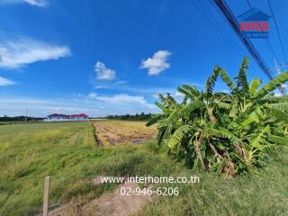 Farmland with houses in the background