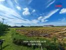 Scenic view of open field with clear blue sky