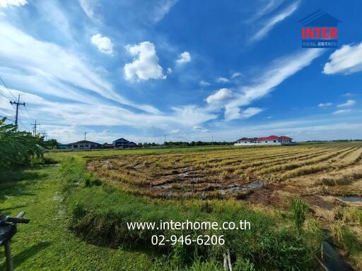 Scenic view of open field with clear blue sky