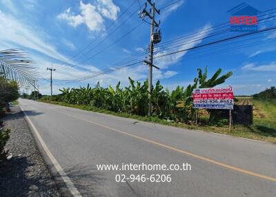 Street view with banana plants and signage