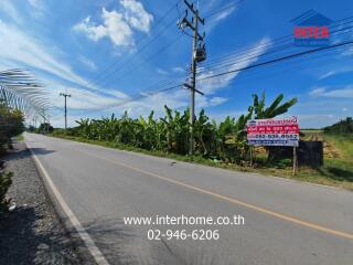 Street view with banana plants and signage