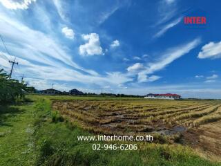 Field view with buildings and a bright blue sky