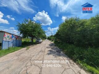 Rural street view with lush greenery