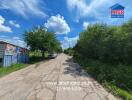 Rural street view with lush greenery