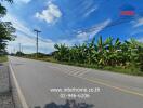 Roadside view with banana plants and power lines on a sunny day