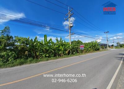 Roadside view with greenery and power lines under a clear blue sky