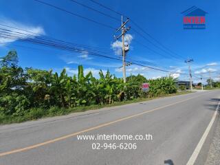 Roadside view with greenery and power lines under a clear blue sky