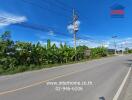 Roadside view with greenery and power lines under a clear blue sky