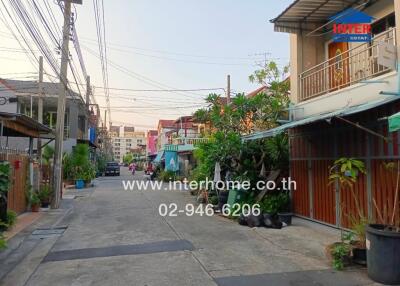 Residential street with houses and plants