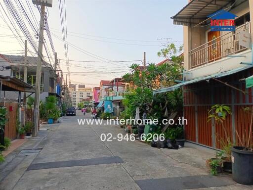 Residential street with houses and plants