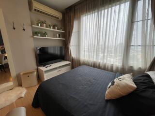 Modern bedroom with large window, bed, TV, and shelves with plants