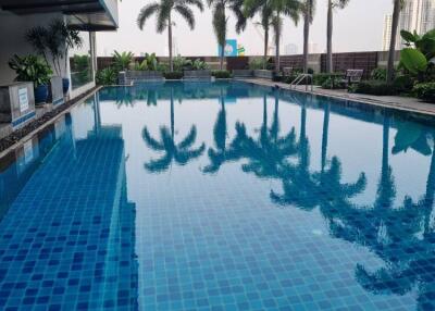 Swimming pool with palm trees and surrounding greenery