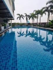 Swimming pool with palm trees and surrounding greenery