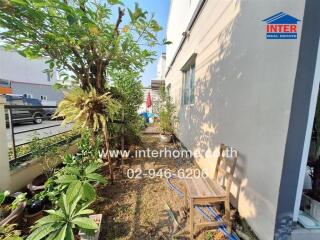 Outdoor garden area with greenery and seating