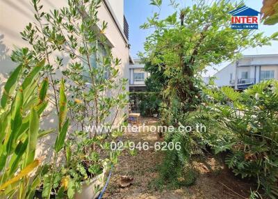 A green and lush garden with surrounding buildings in the background