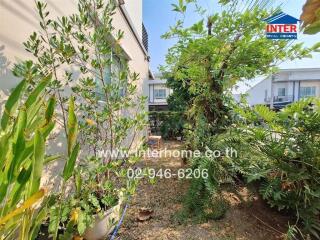 A green and lush garden with surrounding buildings in the background