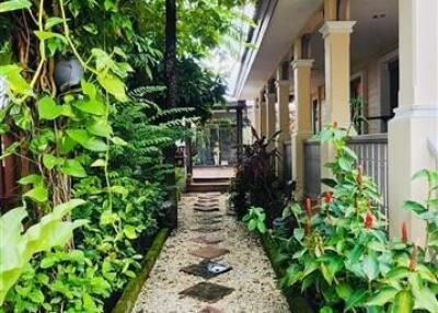 Beautiful garden pathway with lush greenery