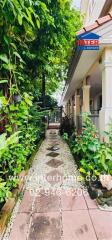 Beautiful garden pathway with lush greenery