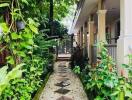 Beautiful garden pathway with lush greenery