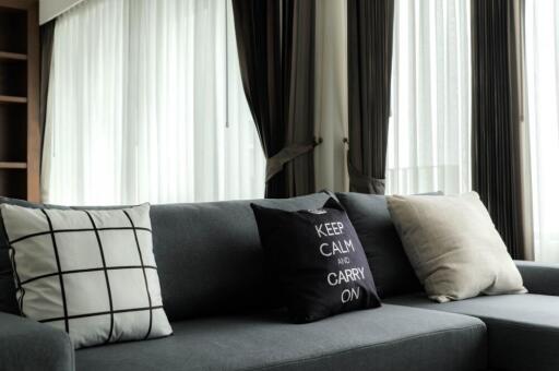 Modern living room with comfortable grey sofa and decorative cushions