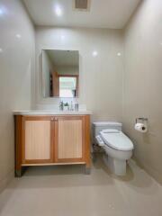 Modern bathroom with wooden cabinet and toilet