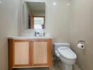 Modern bathroom with wooden cabinet and toilet