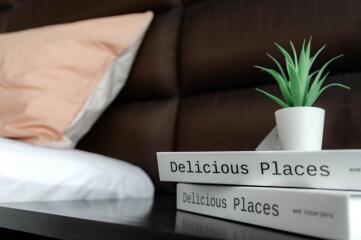 Cozy bedroom with books and a potted plant