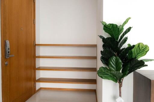 Entryway with wooden shelves and potted plant