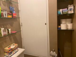 Bathroom storage area with shelves