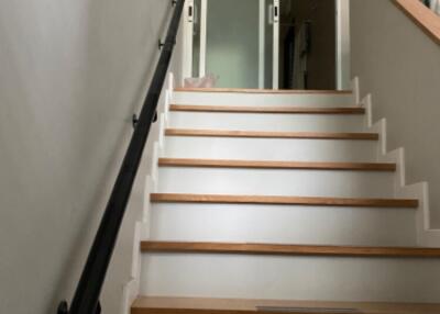 Staircase with wooden steps and glass doors at the top